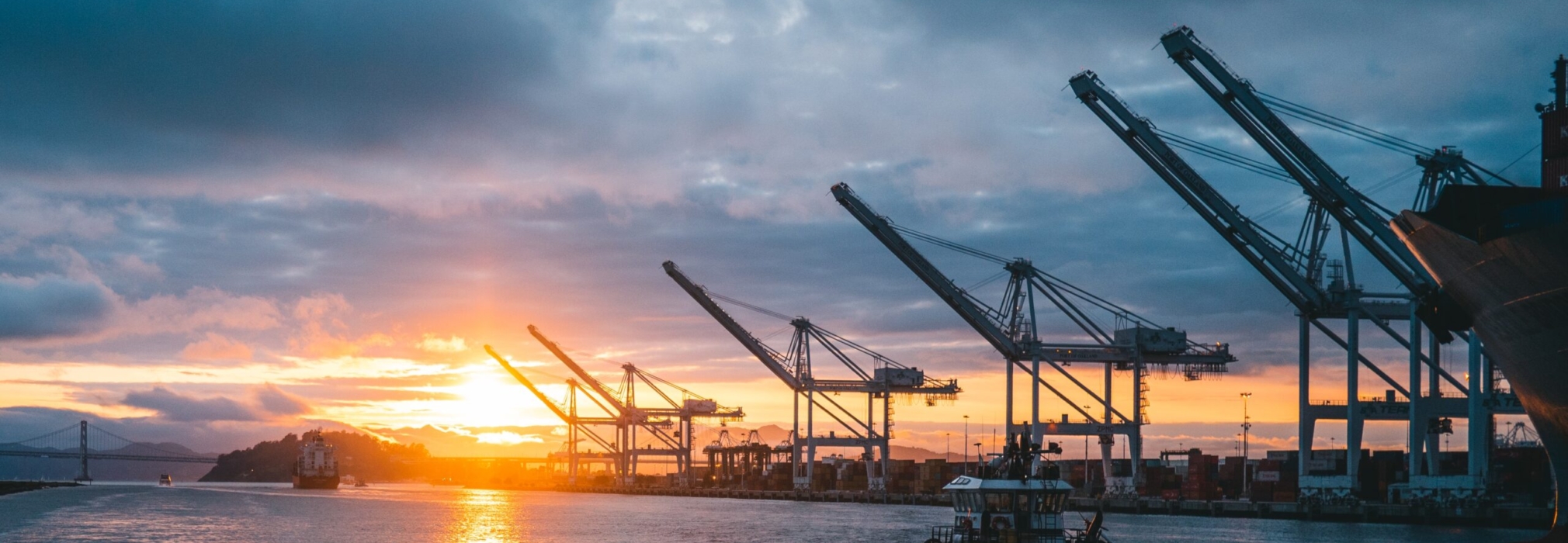 ronan-furuta-daSq9zhROxY-unsplash